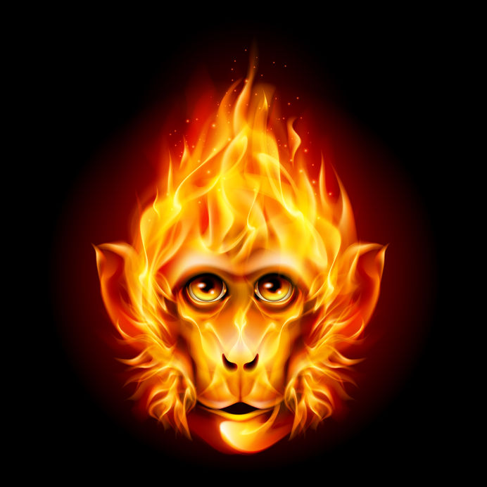 Fire Monkey