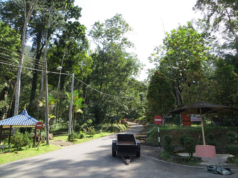 Bukit Larut