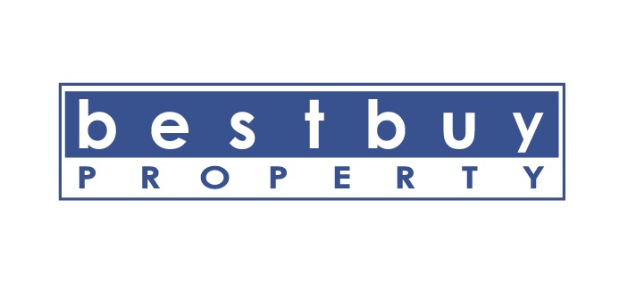 Best Buy Property