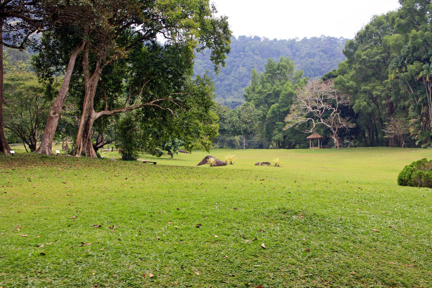 Penangs Botanical Garden Eyes Unesco World Heritage Listing