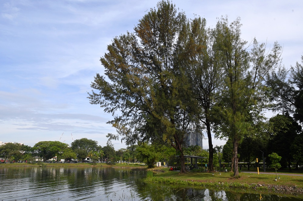 Tasik titiwangsa park