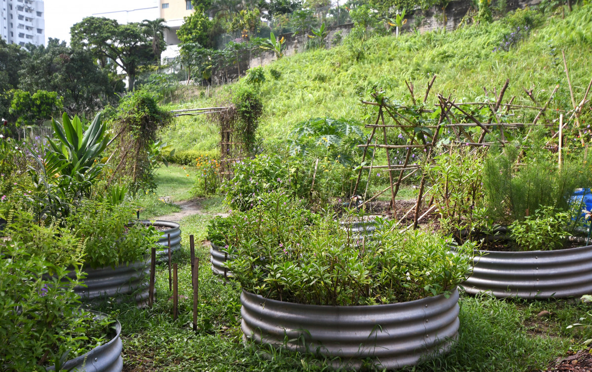 Kebun kebun bangsar