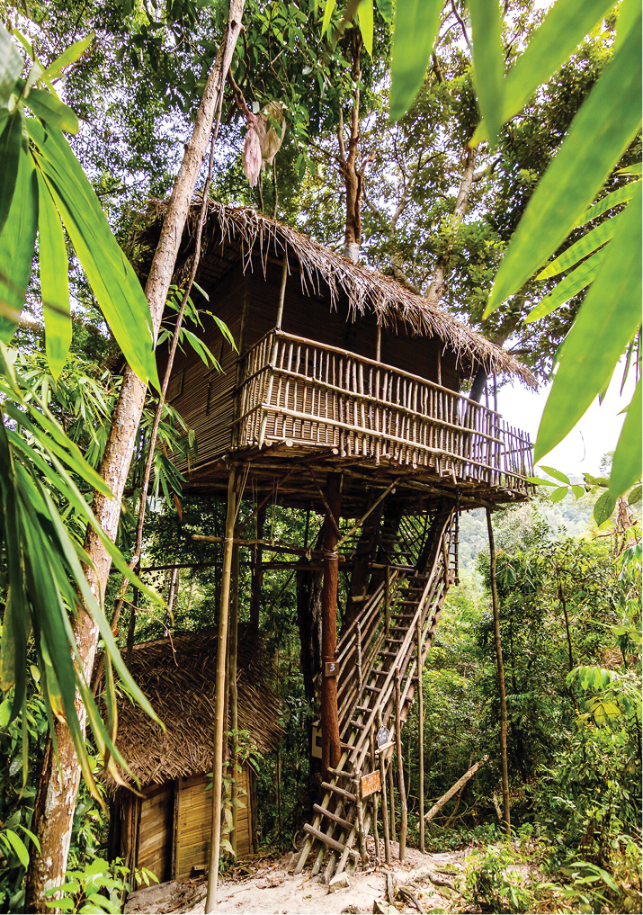  Rainforest  Tree House  Living it up with nature EdgeProp my